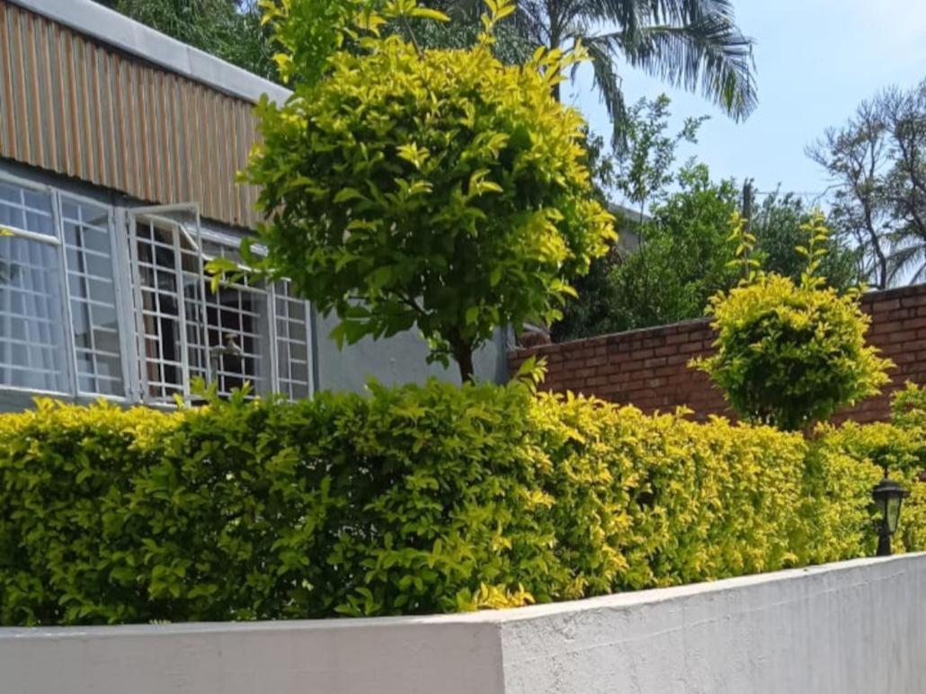 Kaste Guesthouse Tzaneen Dış mekan fotoğraf