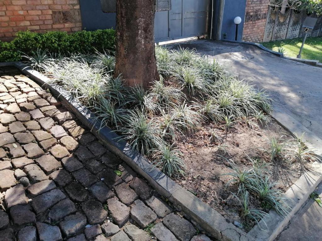 Kaste Guesthouse Tzaneen Dış mekan fotoğraf